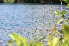 IMG_2150