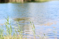 IMG_2180