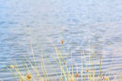 IMG_2182