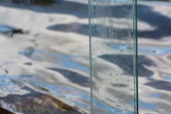 IMG_2225