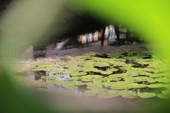 IMG_2260