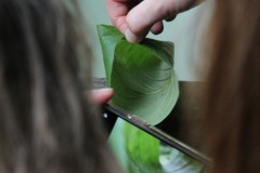 IMG_2291