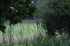 IMG_2354