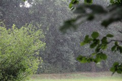 IMG_2356