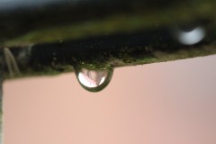 IMG_2382
