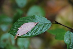 IMG_3050