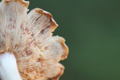 IMG_3127