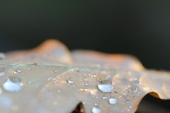 IMG_3128