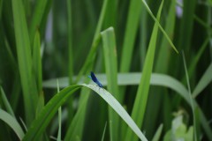 IMG_8283