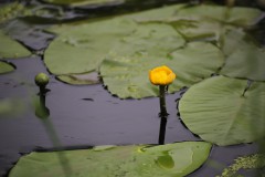 IMG_8357