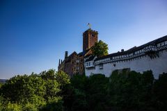 IMG_6136