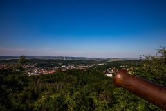 IMG_6138