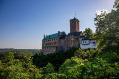 IMG_6139