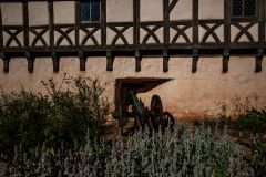 IMG_6151