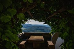 IMG_6158
