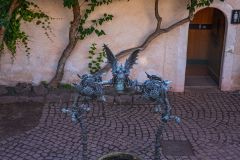 IMG_6186