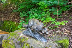 IMG_6204