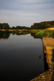 IMG_8460