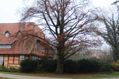 IMG_0589