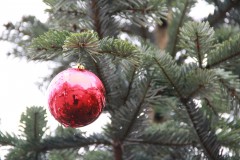 IMG_0632