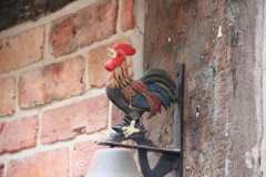 IMG_0685