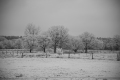 IMG_1891