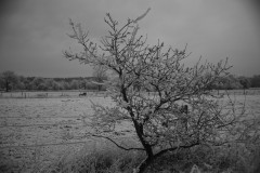 IMG_1894