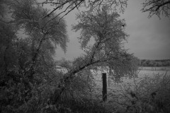 IMG_1895