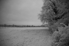 IMG_1913