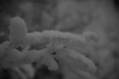 IMG_1915