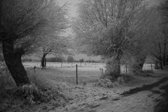 IMG_1919