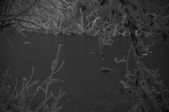 IMG_1938