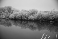 IMG_1954