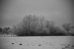 IMG_1961