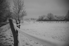 IMG_1963