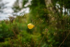 DSC09902