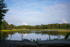 DSC09992