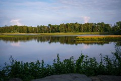 DSC09995