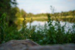 DSC09998