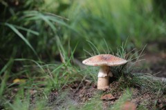 IMG_9172