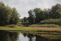 IMG_9253