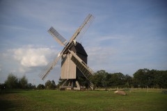 IMG_9301