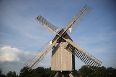 IMG_9303